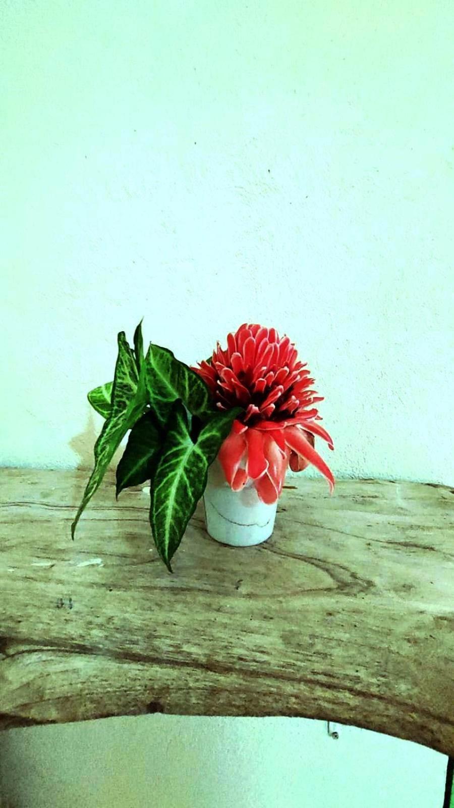 Se Ua Bed & Breakfast Manzanillo  Ngoại thất bức ảnh