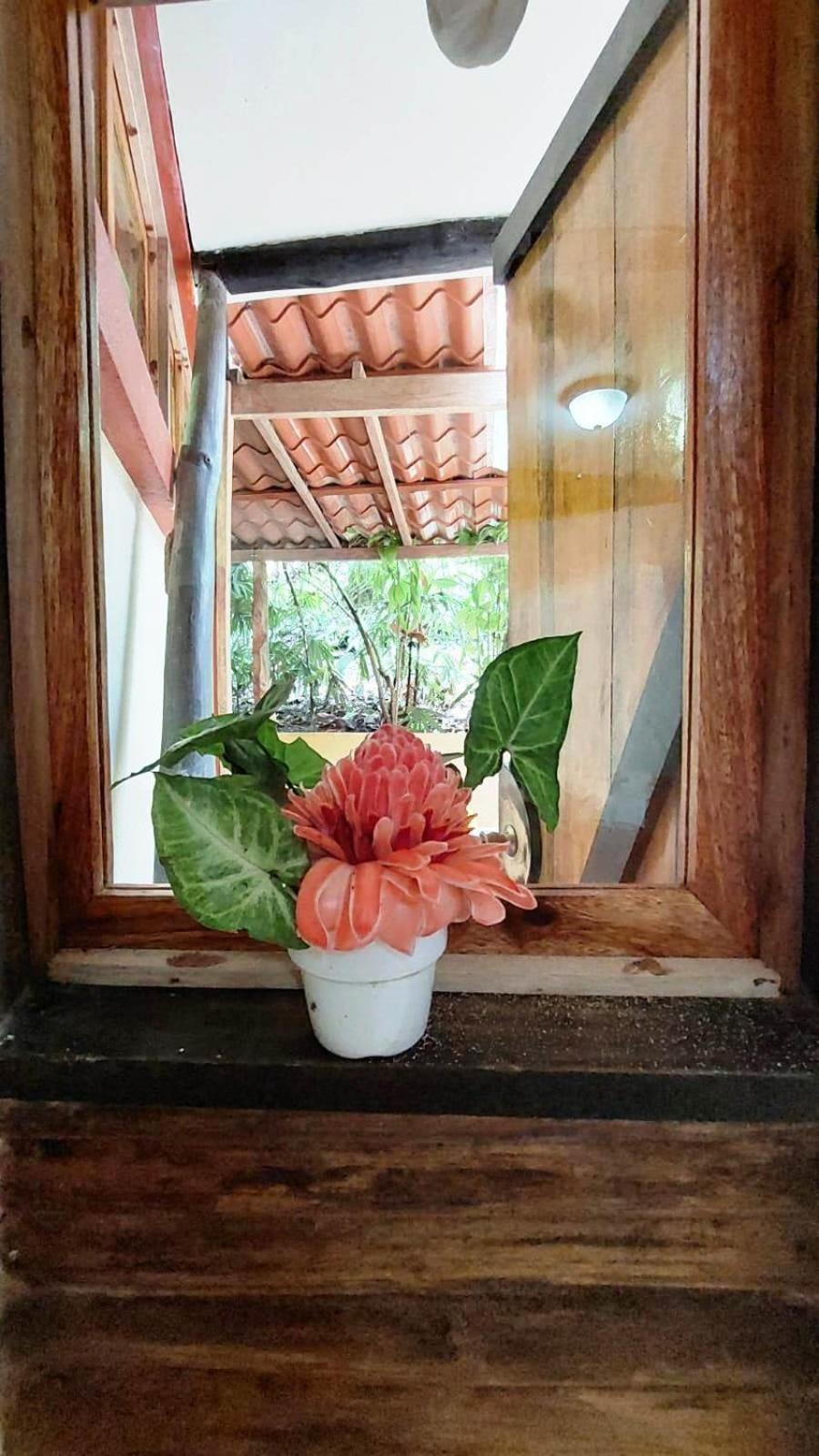 Se Ua Bed & Breakfast Manzanillo  Ngoại thất bức ảnh