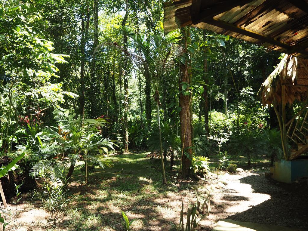 Se Ua Bed & Breakfast Manzanillo  Ngoại thất bức ảnh